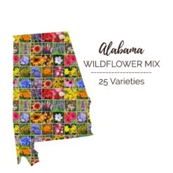 Alabama Wildflower Seed Mix - 100% Pure Multi-Color Regional Blend