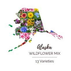 Alaska Wildflower Seed Mix