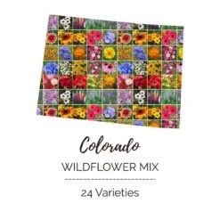 Colorado Wildflower Seed Mix