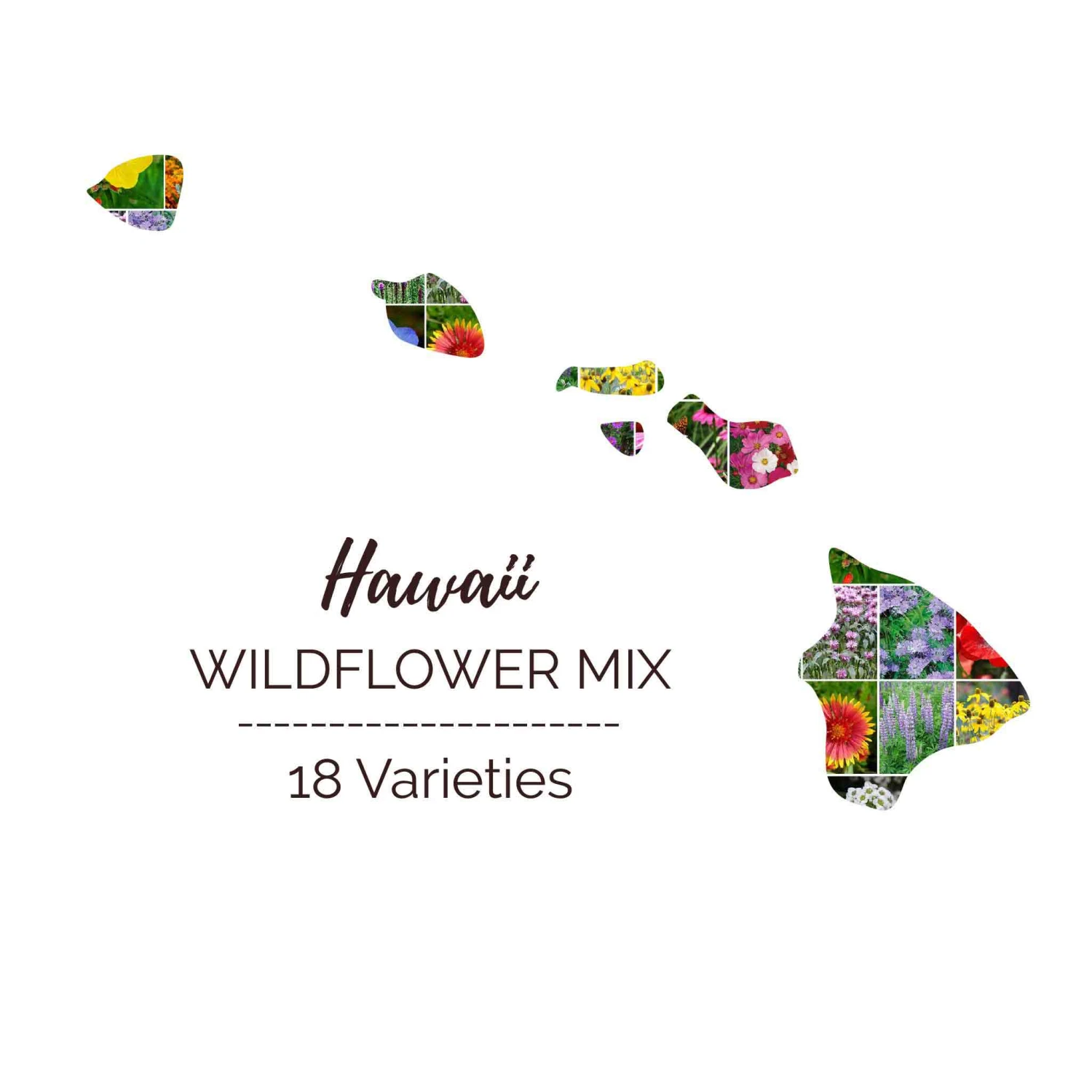 Hawaii Wildflower Seed Mix: 18 Vibrant Varieties for Your Home Meadow 1 Hawaii Wildflower Seed Mix: 18 Vibrant Varieties for Your Home Meadow