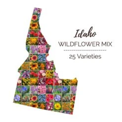 Idaho Wildflower Seed Mix: Vibrant Native Blooms for Pollinators