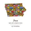 Iowa Wildflower Seed Mix for Vibrant & Native Landscapes