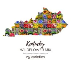 Kentucky Wildflower Seed Mix: Native & Adapted Regional Bloom Mix