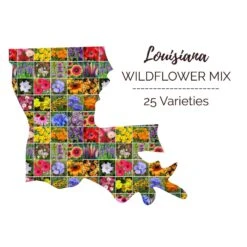 Louisiana Wildflower Seed Mix