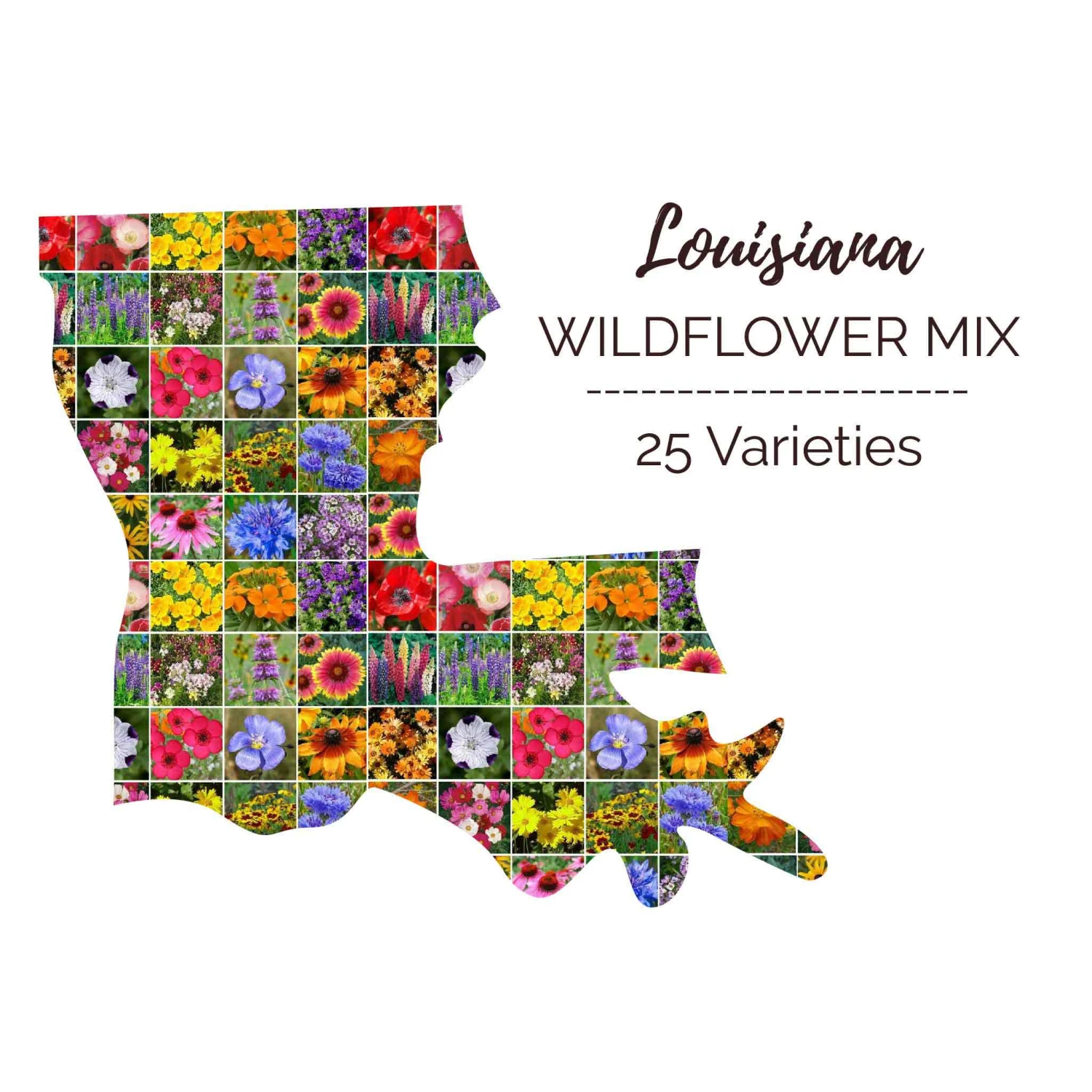 Louisiana Wildflower Seed Mix 1 Louisiana Wildflower Seed Mix