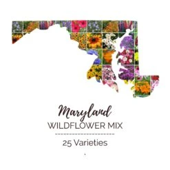 Maryland Wildflower Seed Mix: 23 Native and Adapted Varieties