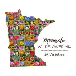 Minnesota Wildflower Seed Mix - 23 Diverse Native and Adapted Blooms