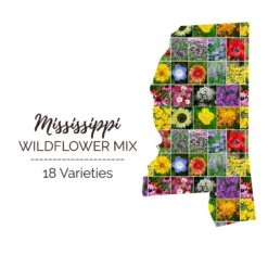 Mississippi Native Wildflower Seed Mix - 18 Colorful Varieties