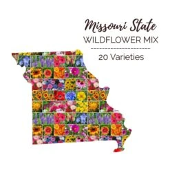Missouri Wildflower Seed Mix: 19 Vibrant Annual & Perennial Varieties