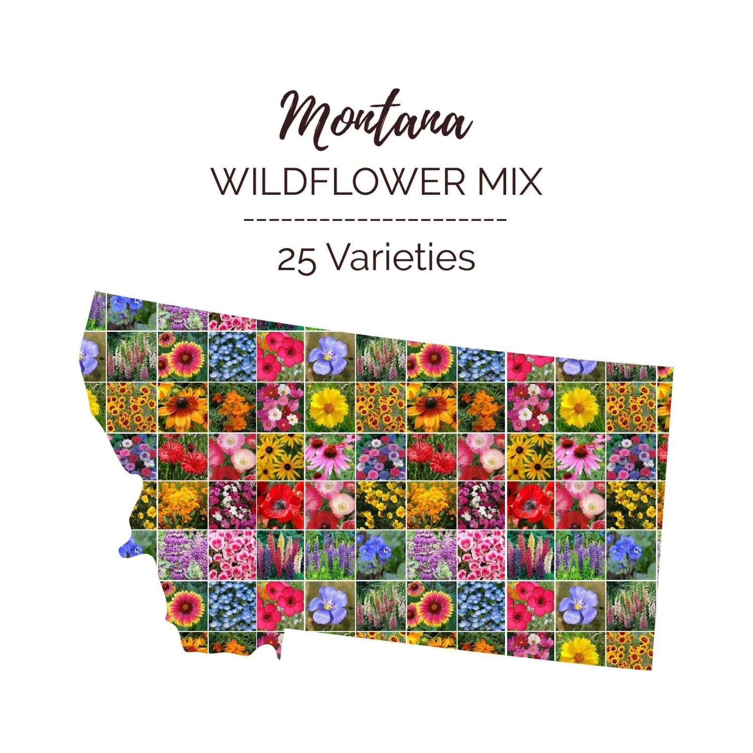 Montana Wildflower Seed Mix 1 Montana Wildflower Seed Mix