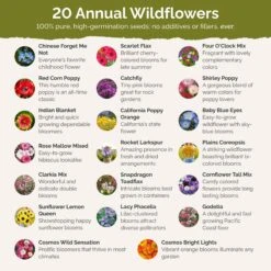 All Annual Wildflower Seed Mix -Eden Brothers Shop all annual SMCAT111 st2 b0c04435 00d3 4d24 9869 e9ef831083d9