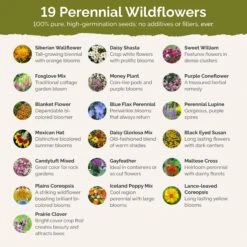 All Perennial Wildflower Seed Mix -Eden Brothers Shop all perennial SMCAT112 st2