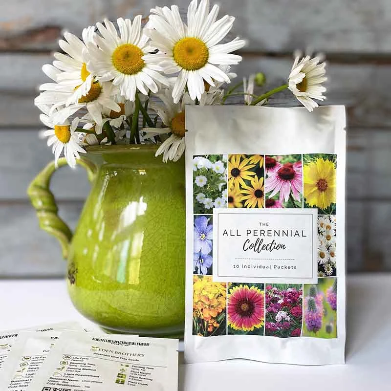 All Perennial Collection 2 All Perennial Collection - Image 2