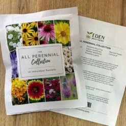All Perennial Collection 6 All Perennial Collection -Eden Brothers Shop all perennial collection eb 3 2024