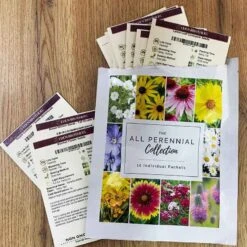 All Perennial Collection 7 All Perennial Collection -Eden Brothers Shop all perennial collection eb 4 2024