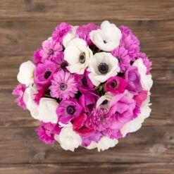 Anemone Bulbs - Adeline's Mix 6 Anemone Bulbs - Adeline's Mix -Eden Brothers Shop anemone adelines mix asf 3