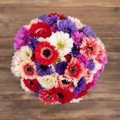 Anemone Bulbs - Double Mix 6 Anemone Bulbs - Double Mix -Eden Brothers Shop anemone double mix asf 4