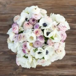 Alpine Mix Anemone & Ranunculus Bulbs - Elegant White & Blush Blooms 5 Alpine Mix Anemone & Ranunculus Bulbs - Elegant White & Blush Blooms -Eden Brothers Shop anemone ranunculus alpine mix asf 3