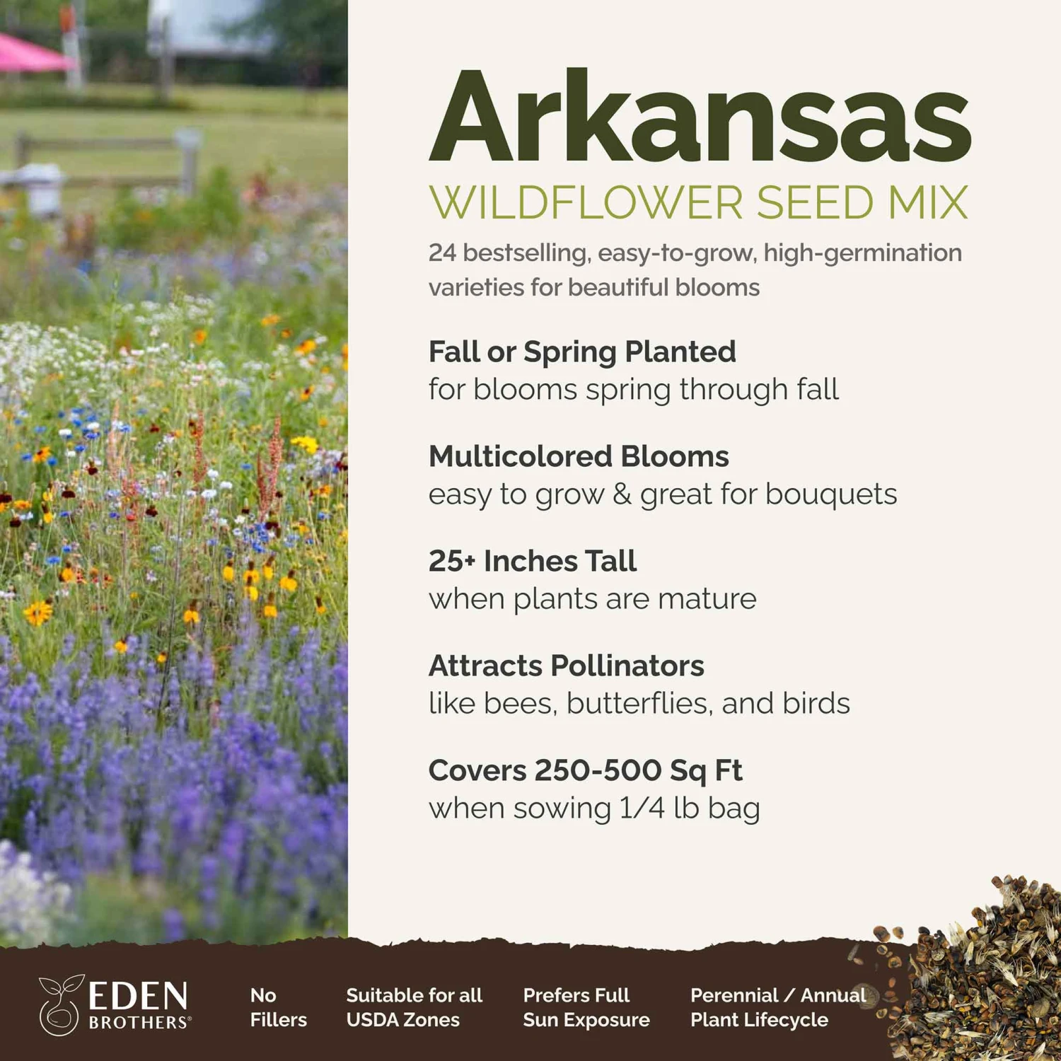 Arkansas Wildflower Seed Mix 2 Arkansas Wildflower Seed Mix - Image 2