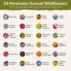 Arkansas Wildflower Seed Mix 6 Arkansas Wildflower Seed Mix -Eden Brothers Shop arkansas SMREG143 st2