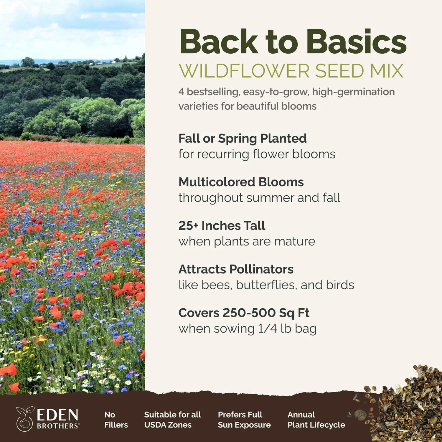 Traditional Wildflower Seed Mix - Easy-to-Grow Colorful Garden Blooms 3 Traditional Wildflower Seed Mix - Easy-to-Grow Colorful Garden Blooms - Image 3