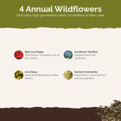 Traditional Wildflower Seed Mix - Easy-to-Grow Colorful Garden Blooms 8 Traditional Wildflower Seed Mix - Easy-to-Grow Colorful Garden Blooms -Eden Brothers Shop back to basic SMCAT122 st2