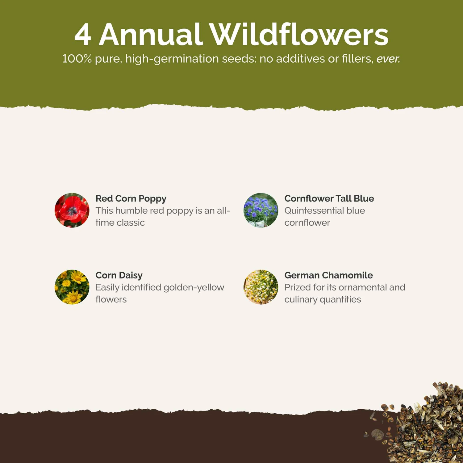 Traditional Wildflower Seed Mix - Easy-to-Grow Colorful Garden Blooms 4 Traditional Wildflower Seed Mix - Easy-to-Grow Colorful Garden Blooms - Image 4