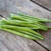Elegance Bush Bean Seeds - Easy to Grow Non-Climbing Vegetable Garden Seeds