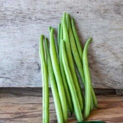 Elegance Bush Bean Seeds - Easy to Grow Non-Climbing Vegetable Garden Seeds -Eden Brothers Shop bean elegance pls 3 81b82928 08f8 4f4d a3c7 ffbfab6f03c0
