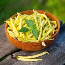 Golden Wax Bush Bean Seeds - Easy-to-Grow Stringless Yellow Beans
