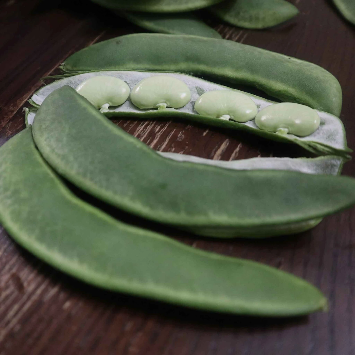 Burpee Improved Bush Lima Bean Seeds - High-Yield Heirloom Variety 1 Burpee Improved Bush Lima Bean Seeds - High-Yield Heirloom Variety