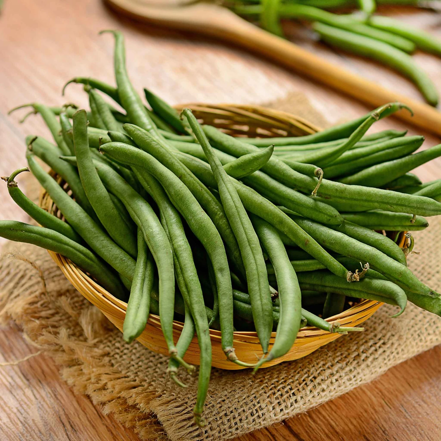 Burpee Stringless Green Bean Seeds (Bush Variety) 1 Burpee Stringless Green Bean Seeds (Bush Variety)