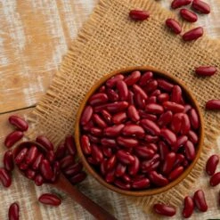 Dark Red Kidney Bean Seeds - Heirloom Bush Variety for Home Gardens