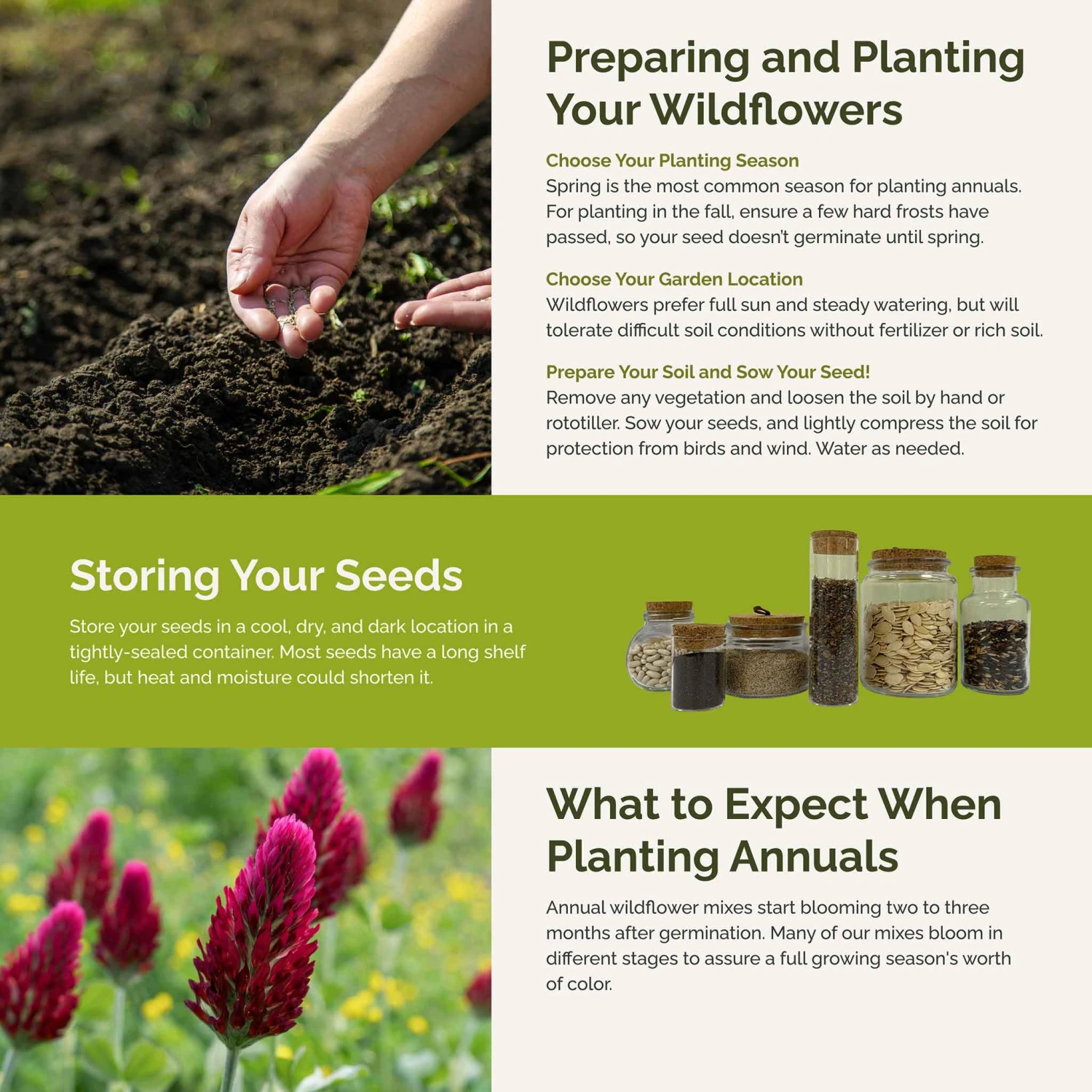 Bee Happy - Organic Bee Attractor Wildflower Mix 4 Bee Happy - Organic Bee Attractor Wildflower Mix - Image 4