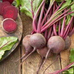 Beet Seeds (Organic) - Detroit Dark Red