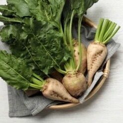 Sugar Beet Seeds - Premium Heirloom Seeds for Sustainable Gardening