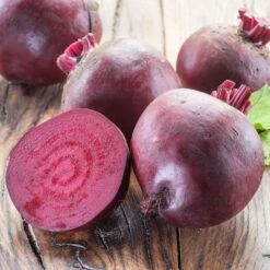 Crosby Egyptian Beet Seeds - Fast-Growing Heirloom for Home Gardens