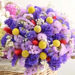 Billy Button Seeds -Eden Brothers Shop billy button shk 2