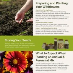 Bird & Butterfly Wildflower Seed Mix 7 Bird & Butterfly Wildflower Seed Mix -Eden Brothers Shop bird butterfly SMSPU111 st5