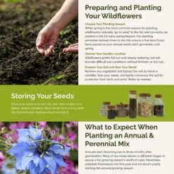 Blue Ribbon Blue Flower Seed Mix: Annual & Perennial Wildflower Blend -Eden Brothers Shop blue ribbon SMCOL118 st5