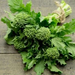 Broccoli-Raab Seeds - Spring Rapini
