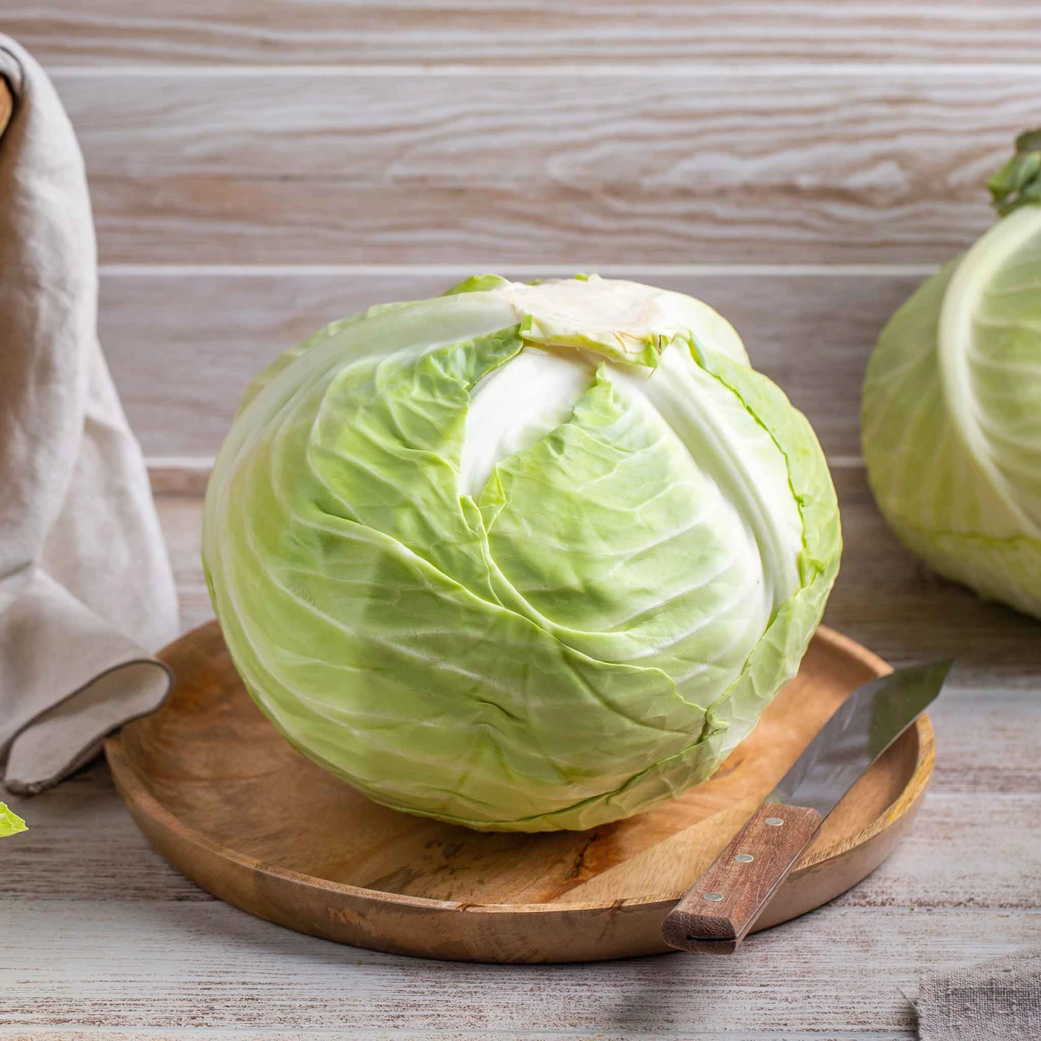 Cabbage Seeds - Brunswick 1 Cabbage Seeds - Brunswick