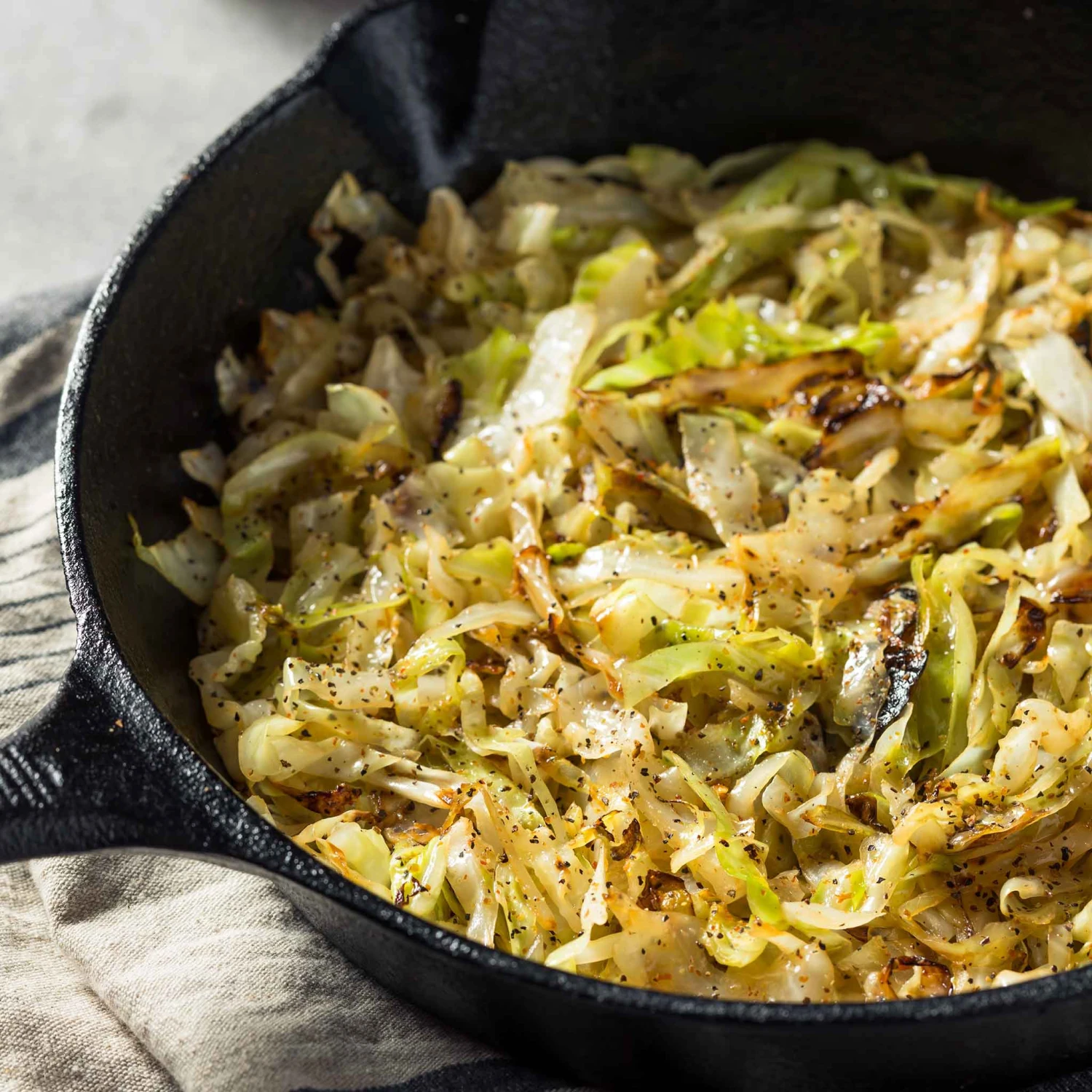 Cabbage Seeds - Brunswick 4 Cabbage Seeds - Brunswick - Image 4