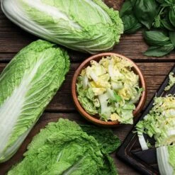 Chinese Cabbage Seeds - Michihili