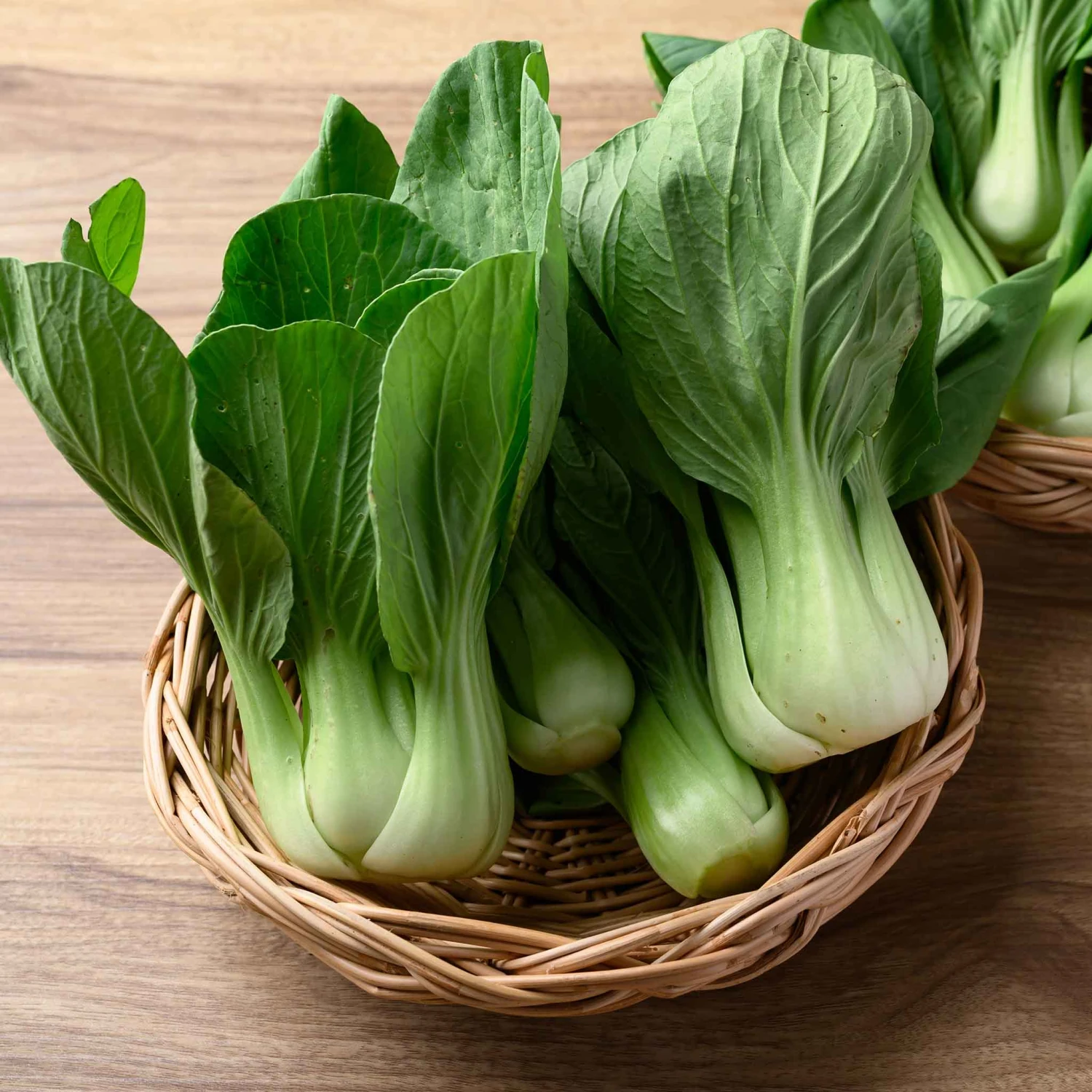 Chinese Cabbage Seeds - Pak Choy White Stem 2 Chinese Cabbage Seeds - Pak Choy White Stem - Image 2