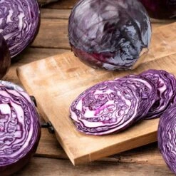 Cabbage Seeds - Red Acre -Eden Brothers Shop cabbage red acre flo 1