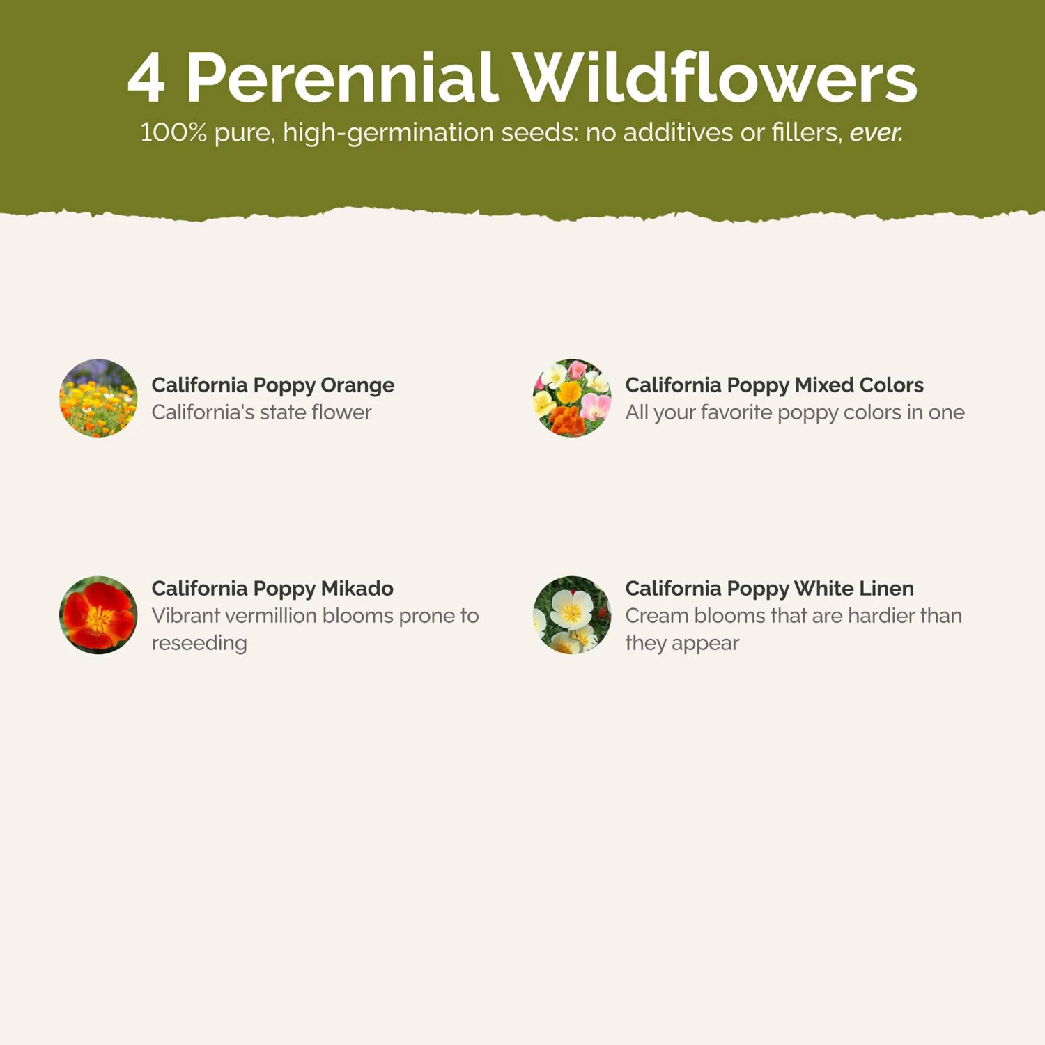 California Poppy Flower Seed Mix - Vibrant 4-Variety Colorful Blend 3 California Poppy Flower Seed Mix - Vibrant 4-Variety Colorful Blend - Image 3