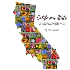 California Wildflower Seed Mix