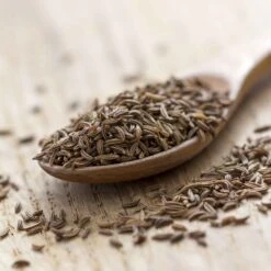 Premium Caraway Herb Seeds - Heirloom Culinary Seeds for Planting