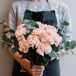 Carnation Seeds - La France -Eden Brothers Shop carnation la france shk 4 996cdc6e fbd2 4a36 9aee eaba5c371d0b